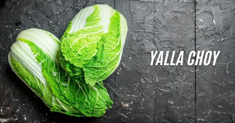 Yalla Choy