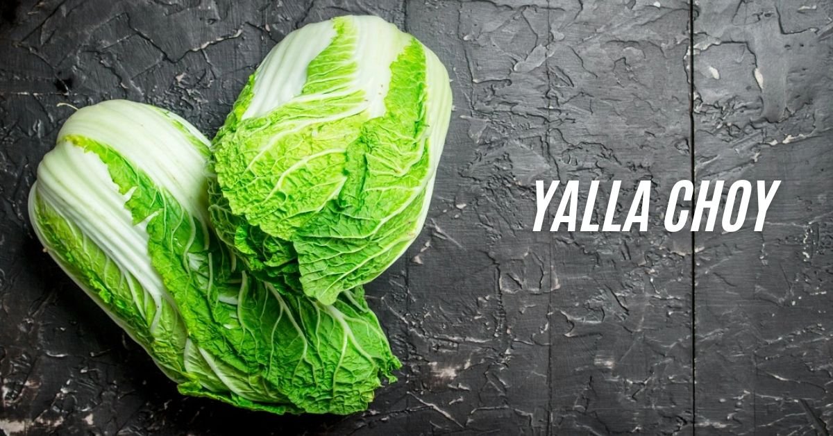 Yalla Choy